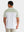 Playera Polo con Contrastes de Color
