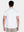 Playera Polo con Costuras Decorativas en Hombros